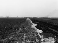 NC-NCa_59
